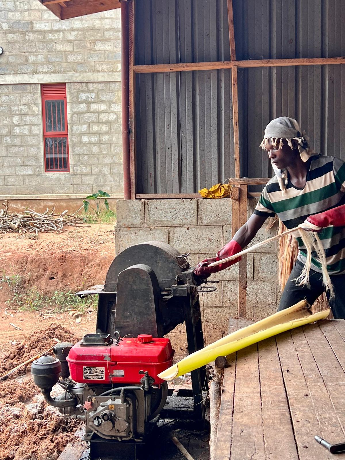 Banana fibre extraction machine