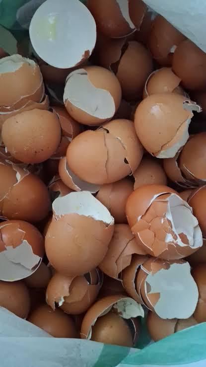 Eggshell Powder (ESP)